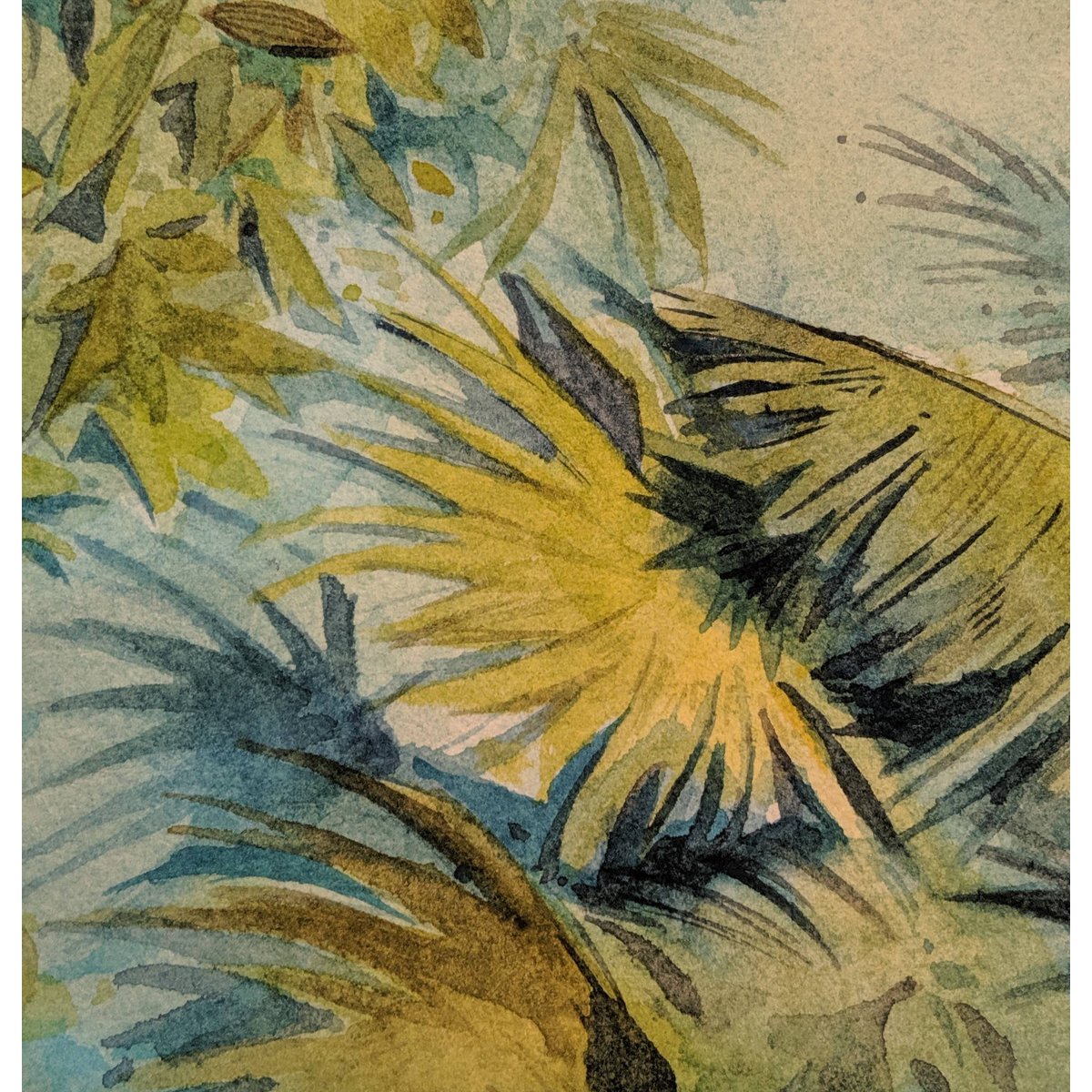 Honpo | Forêt de Brousse | HO-0048 Honpo | Forêt de Brousse | HO-0048