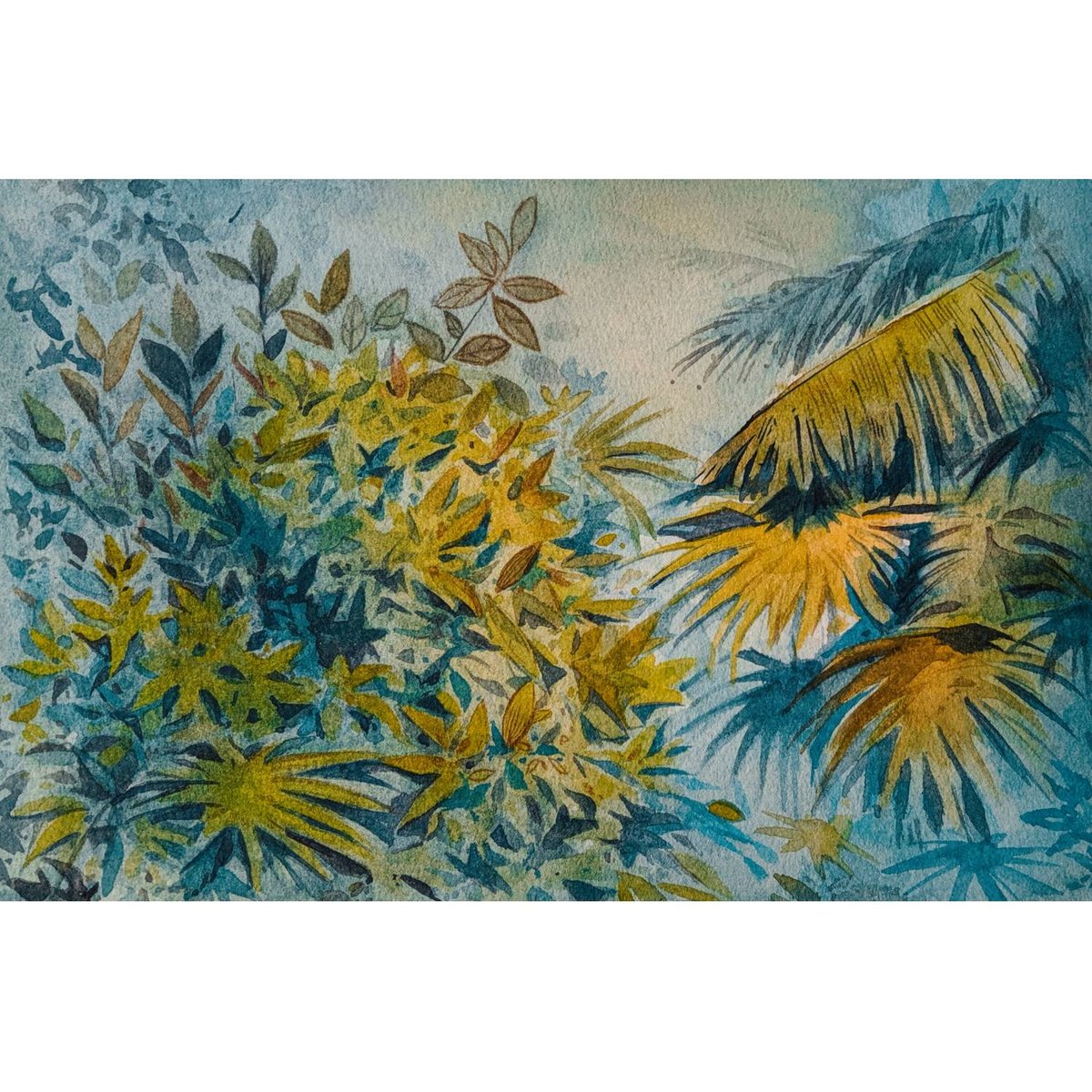 Honpo | Forêt de Brousse | HO-0048 Honpo | Forêt de Brousse | HO-0048