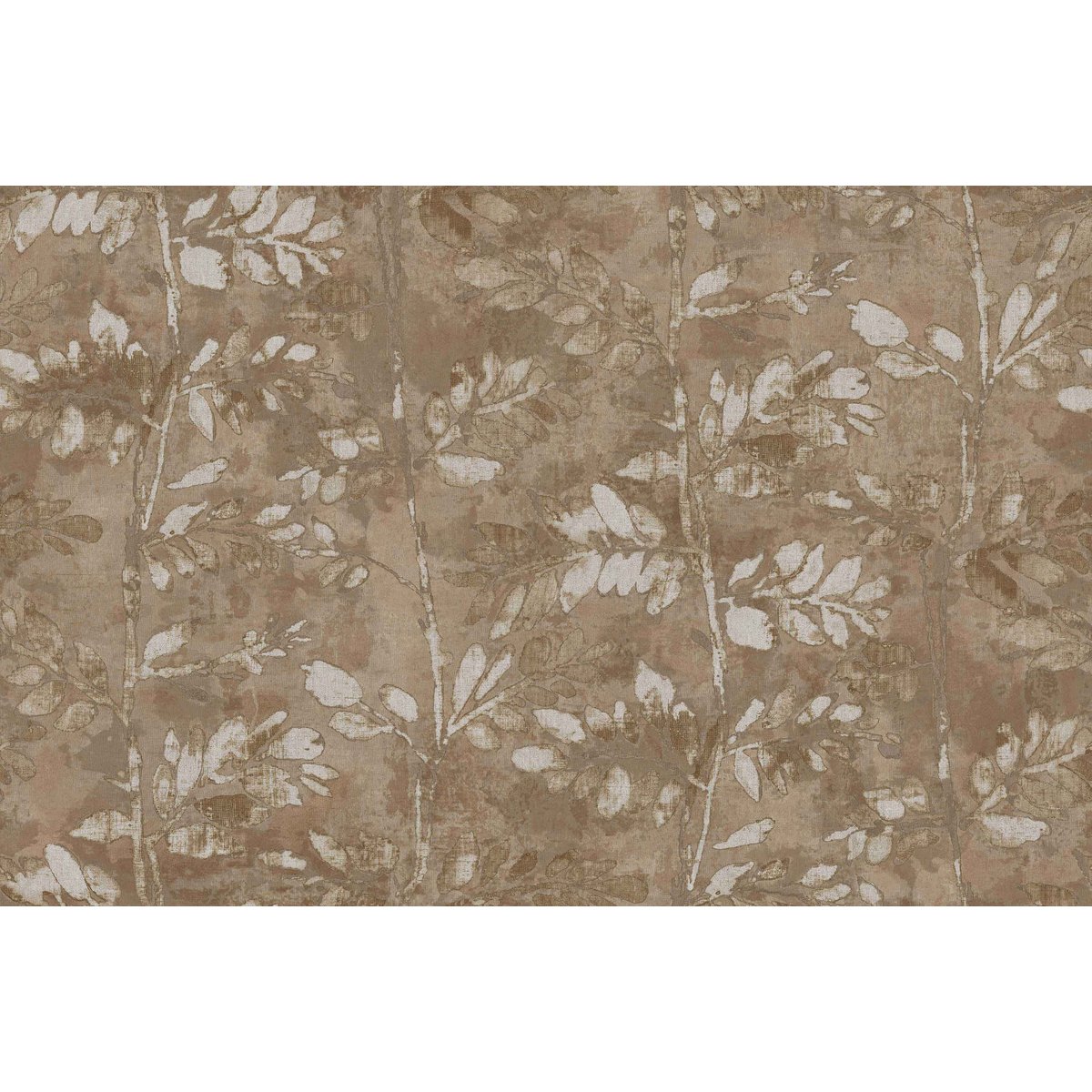 Ramo | Terra | 43808 Ramo | Terra | 43808