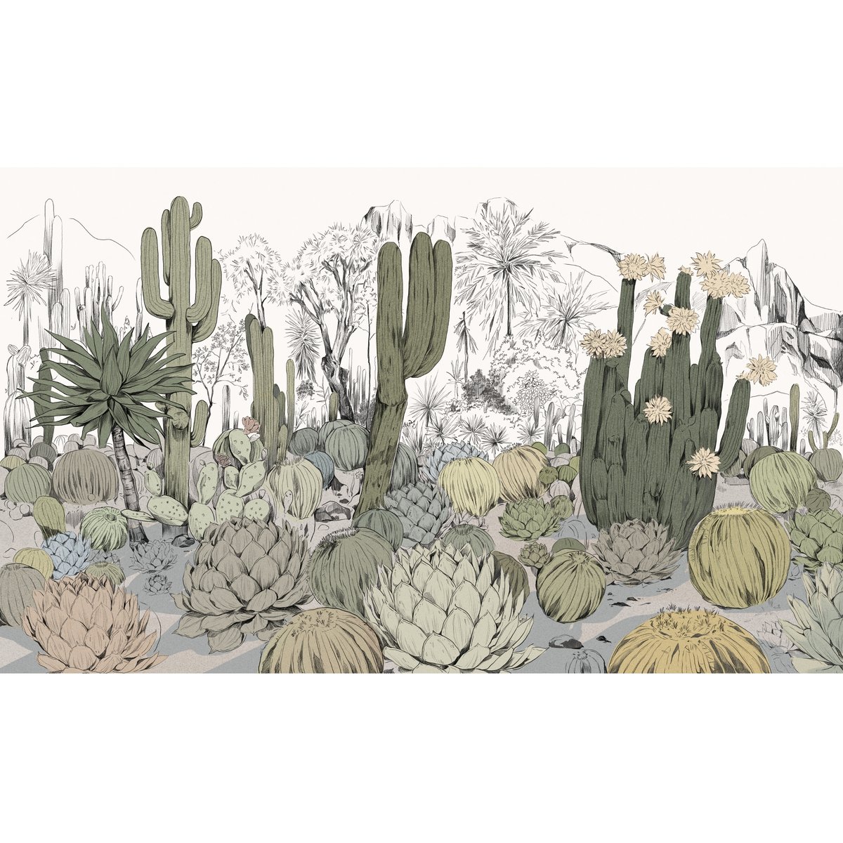 Honpo | Parc de Cactus | HO-0074 Honpo | Parc de Cactus | HO-0074