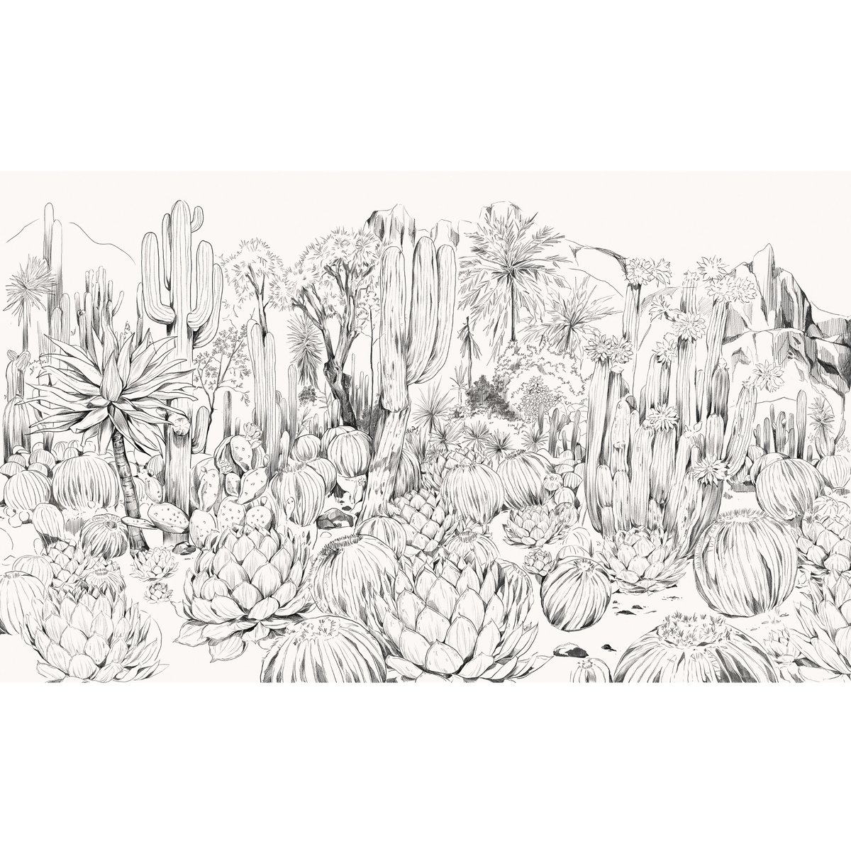 Honpo | Parc de Cactus | HO-0074 Honpo | Parc de Cactus | HO-0074