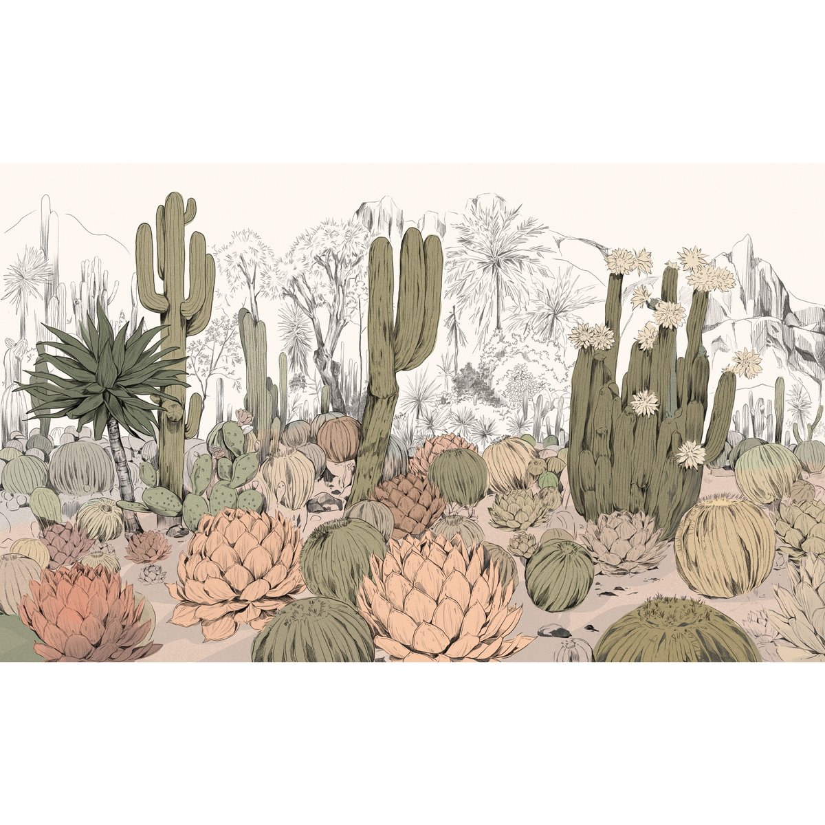 Honpo | Parc de Cactus | HO-0074 Honpo | Parc de Cactus | HO-0074