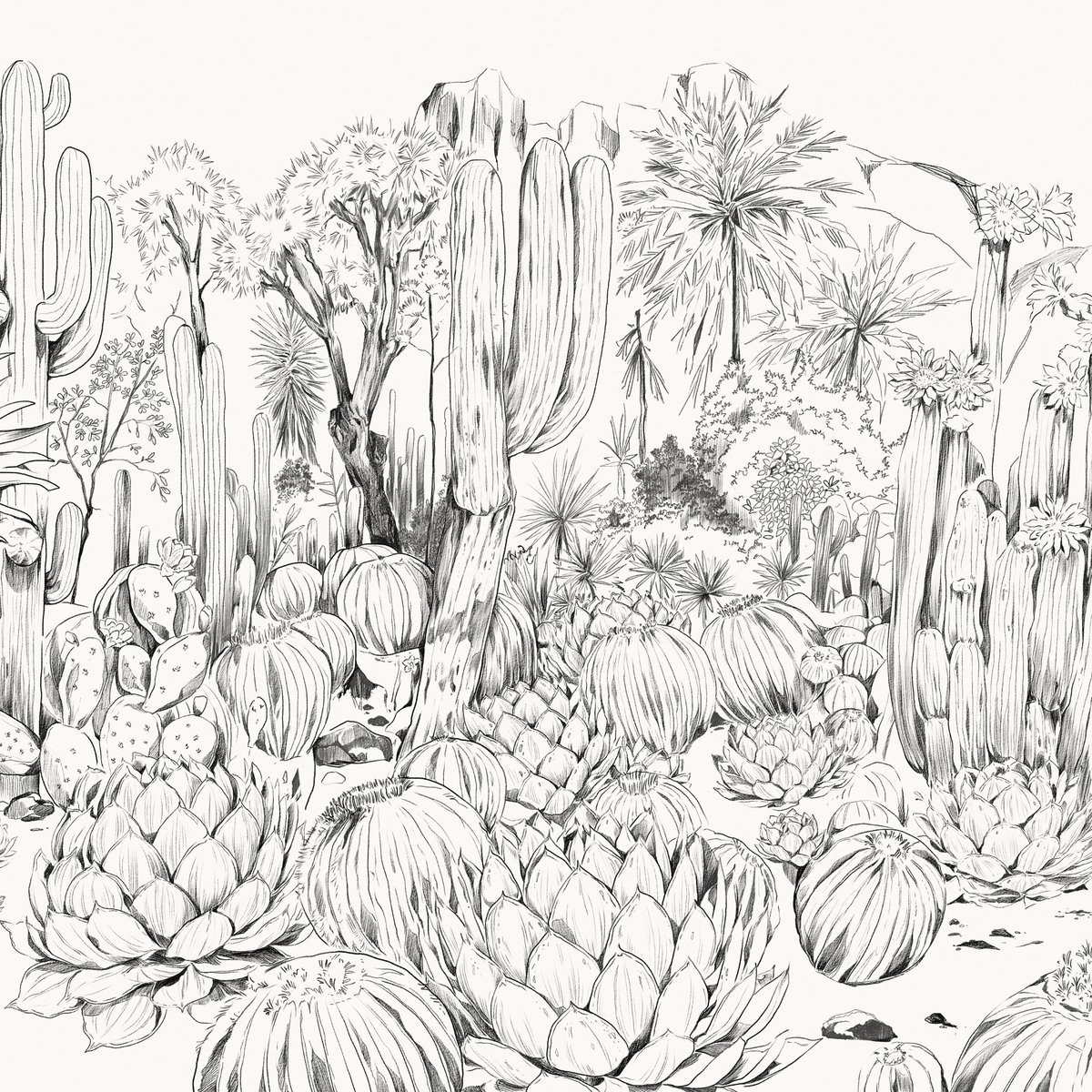 Honpo | Parc de Cactus | HO-0074 Honpo | Parc de Cactus | HO-0074