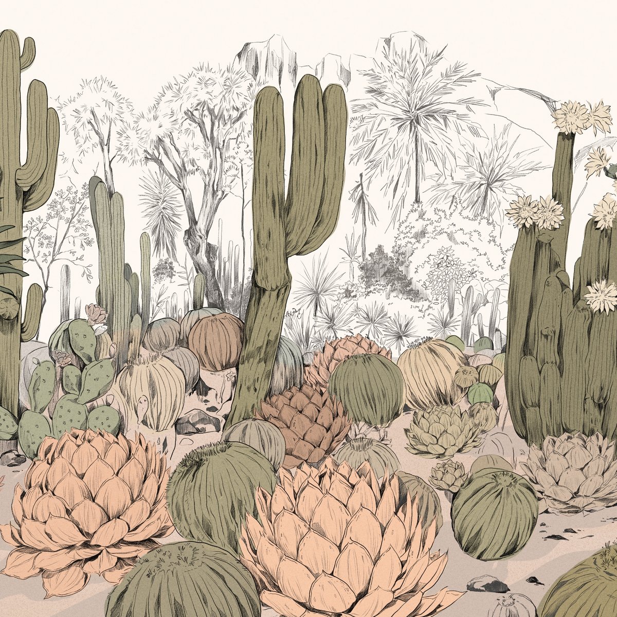 Honpo | Parc de Cactus | HO-0074 Honpo | Parc de Cactus | HO-0074