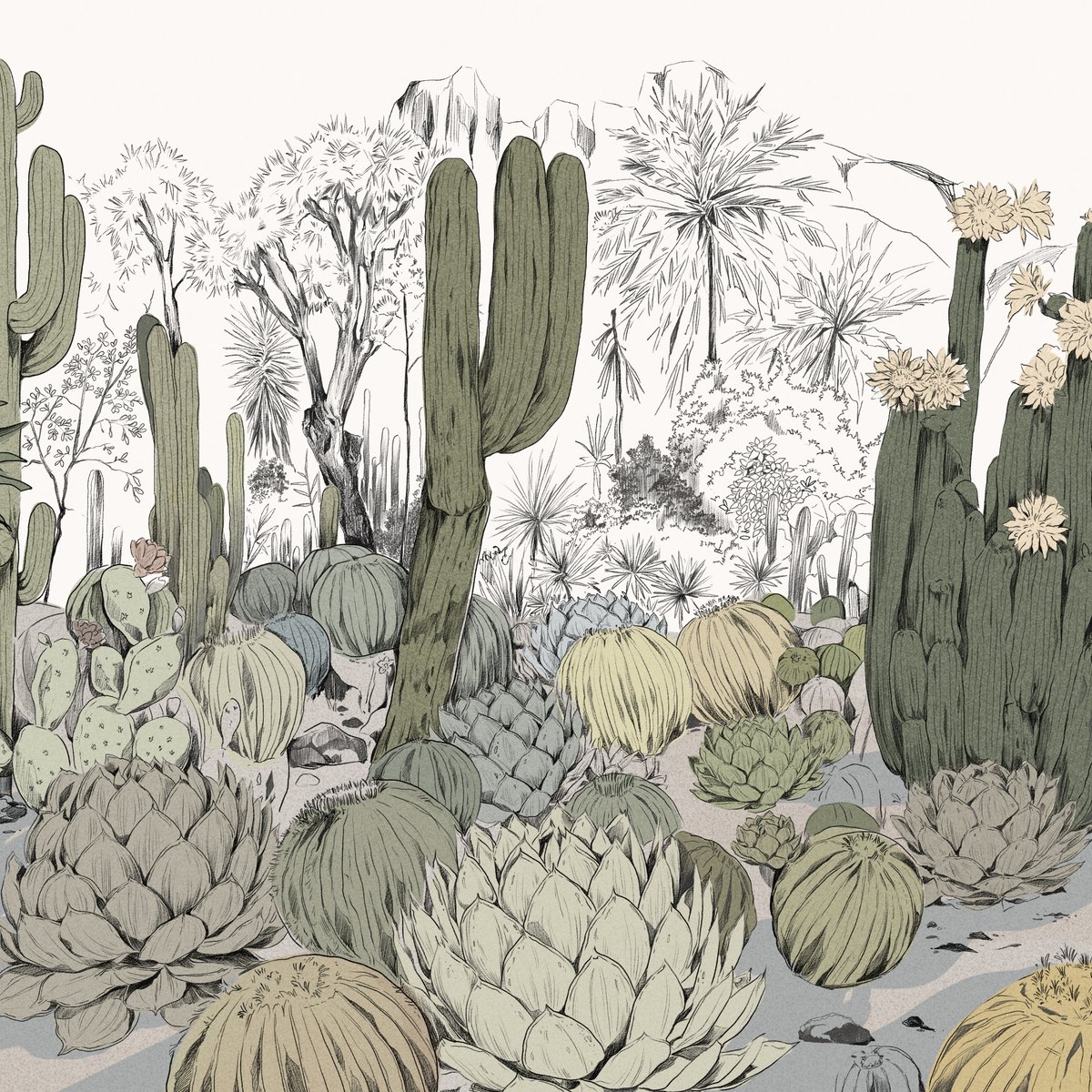 Honpo | Parc de Cactus | HO-0074 Honpo | Parc de Cactus | HO-0074