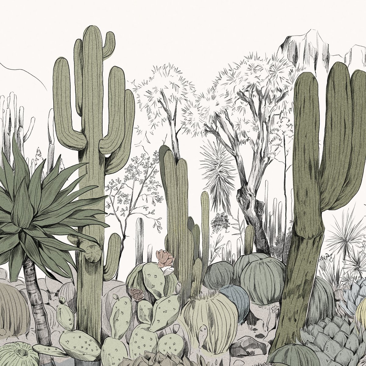 Honpo | Parc de Cactus | HO-0074 Honpo | Parc de Cactus | HO-0074