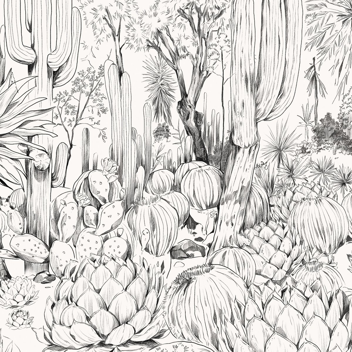 Honpo | Parc de Cactus | HO-0074 Honpo | Parc de Cactus | HO-0074