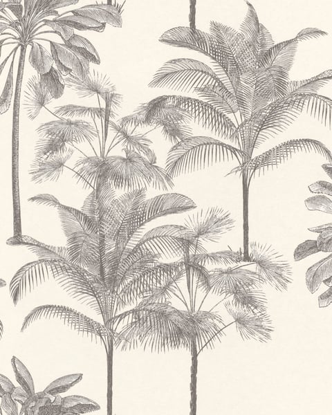 290119 | Zanzibar | Emil & Hugo 290119 | Zanzibar | Emil & Hugo