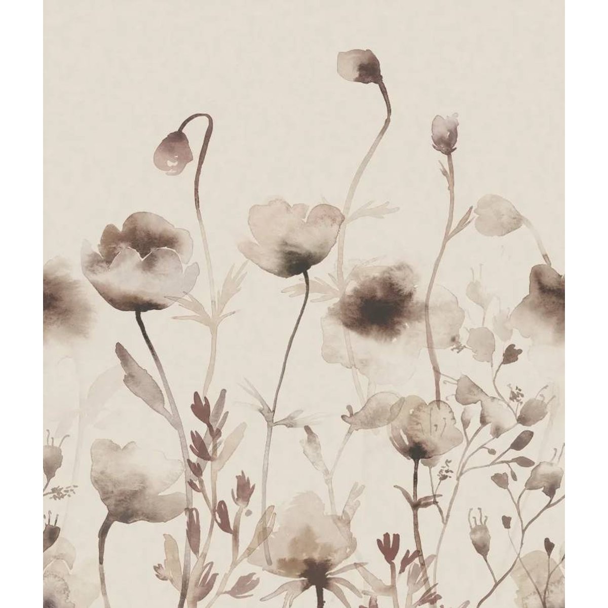 Sandberg | Morängen | Hazel | S10107 Sandberg | Morängen | Hazel | S10107