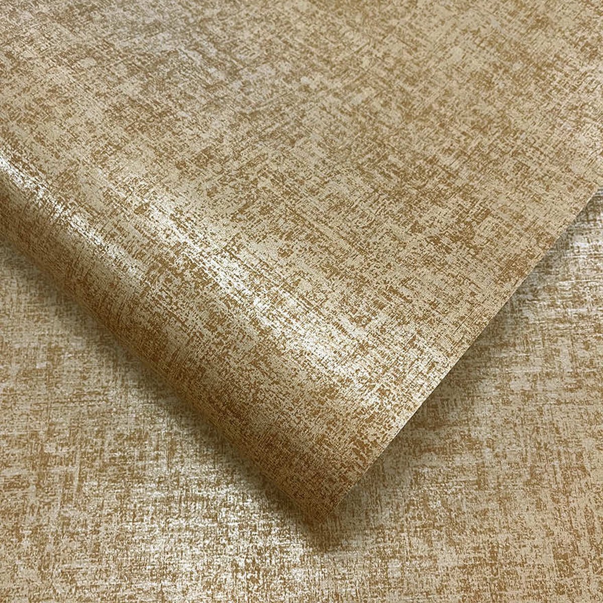 Holden | Journey to the East | Ajanta Holden | Journey to the East | Ajanta