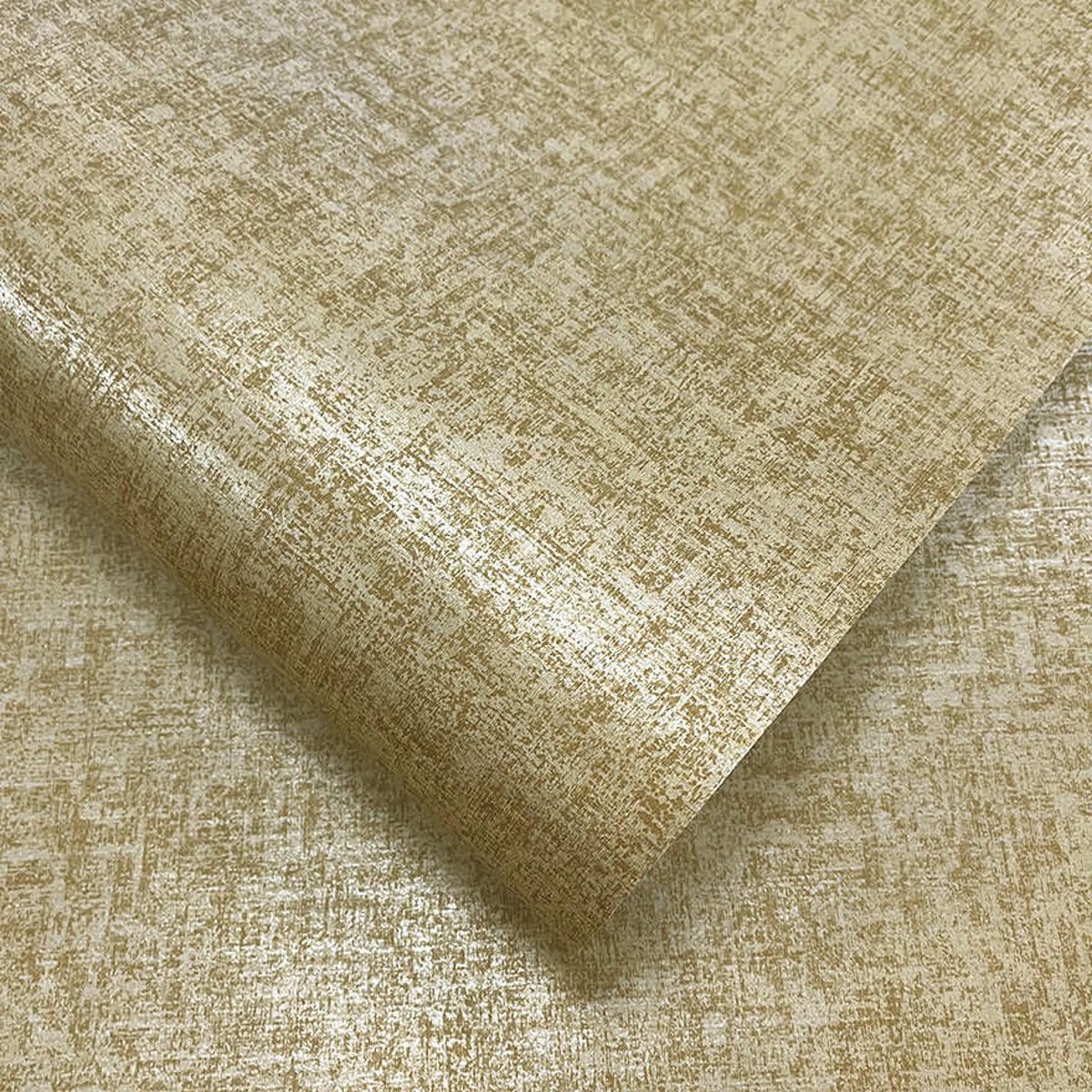 Holden | Journey to the East | Ajanta Holden | Journey to the East | Ajanta