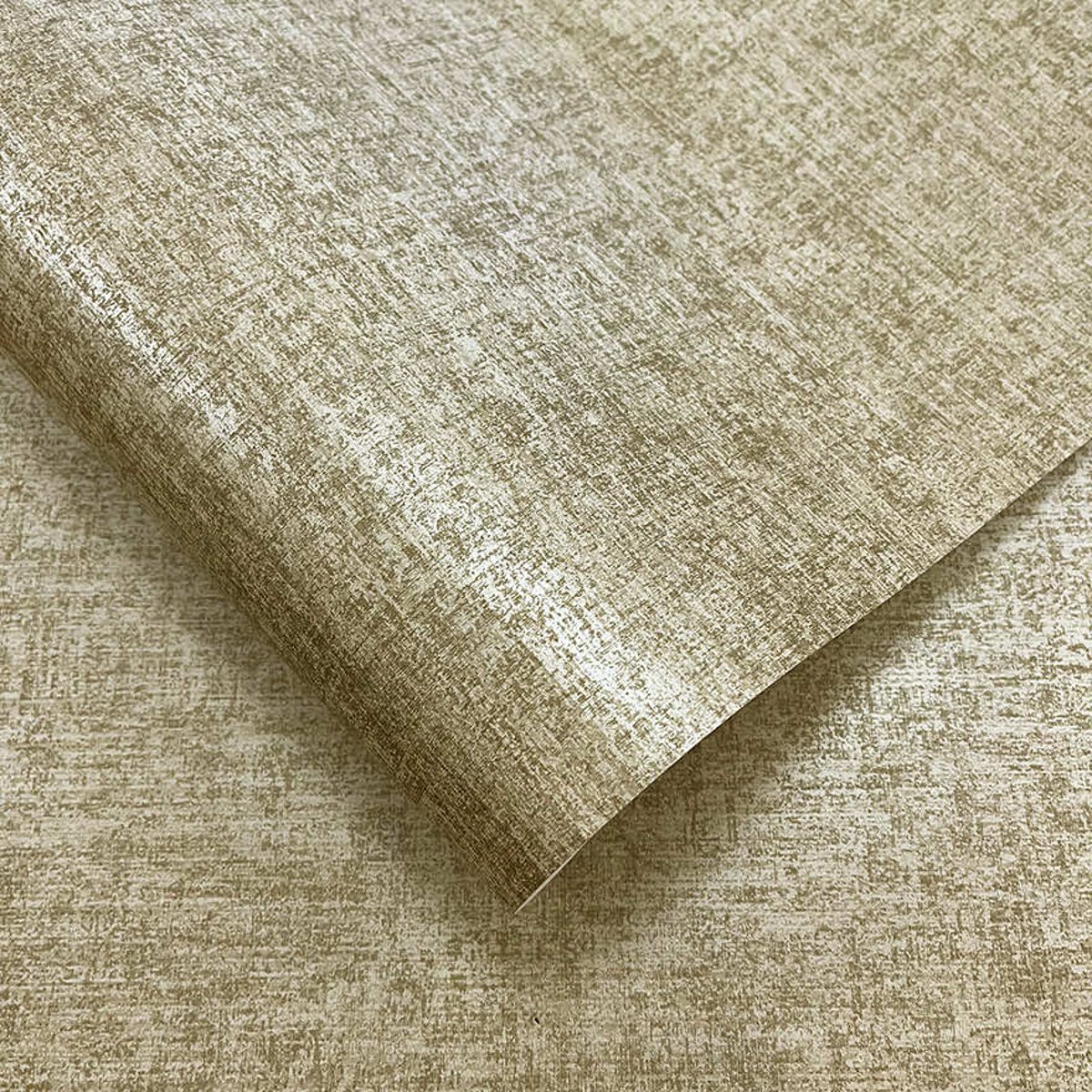 Holden | Journey to the East | Ajanta Holden | Journey to the East | Ajanta